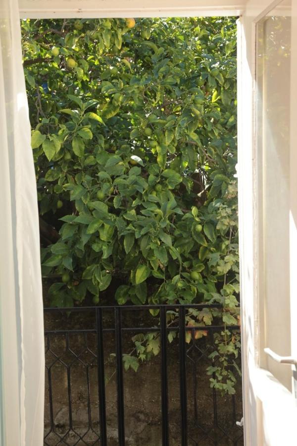 App And Rooms Tereza - In Center Κόρτσουλα Εξωτερικό φωτογραφία